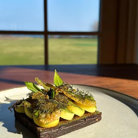 - Vejroe Resort Vejro