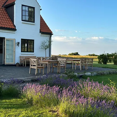 - Vejroe Resort